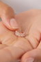 Heliophilia Silver Pendientes de Plata Esterlina 925 en Oro Rosa ELKAB92225R